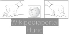 Wikipediaportal  Hund